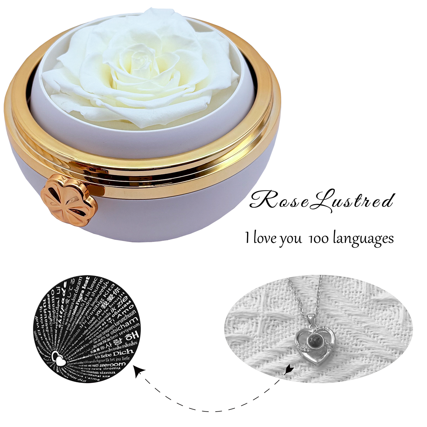 Eternal Round Rose Box with Love you in 100 languages Necklace · Romantic Gift Box