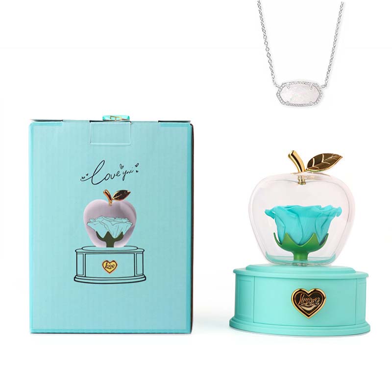 2025 new Christmas apple gift box acrylic eternal rose jewelry box necklace for younger gifts