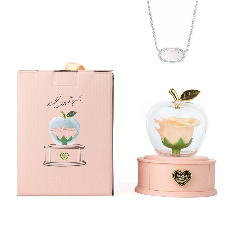 2025 new Christmas apple gift box acrylic eternal rose jewelry box necklace for younger gifts