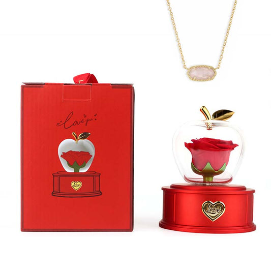 2025 new Christmas apple gift box acrylic eternal rose jewelry box necklace for younger gifts